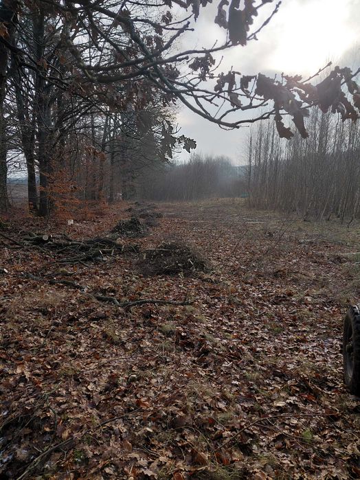 wycinki ,czyszczenia przywracanie gruntów