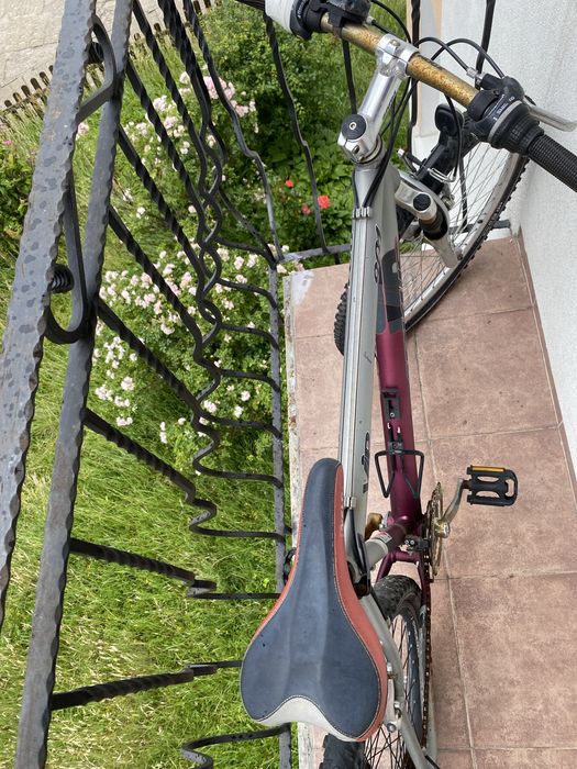 Rower arkus vip 801