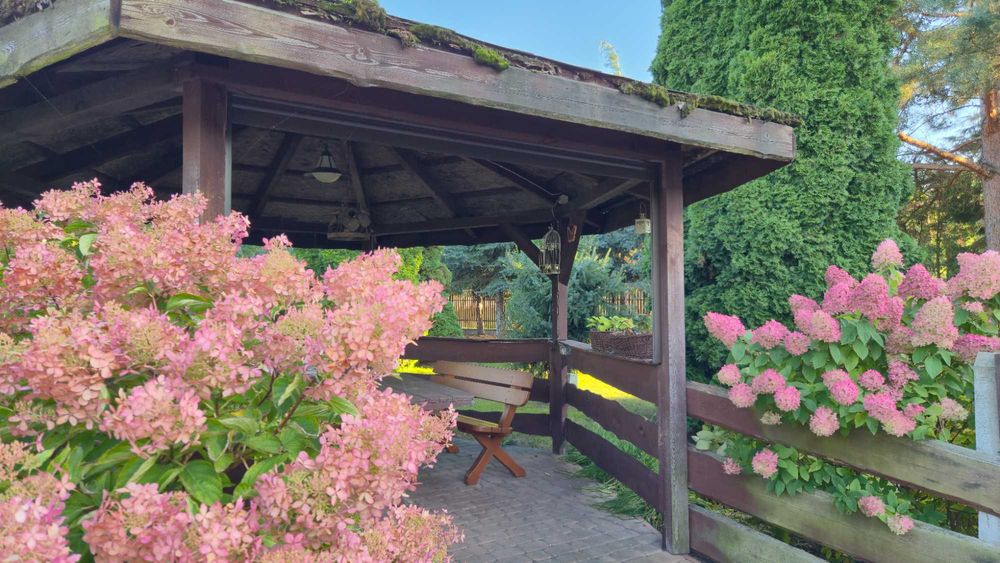 Noclegi, Kwatery, Pokoje, Dom Stryków