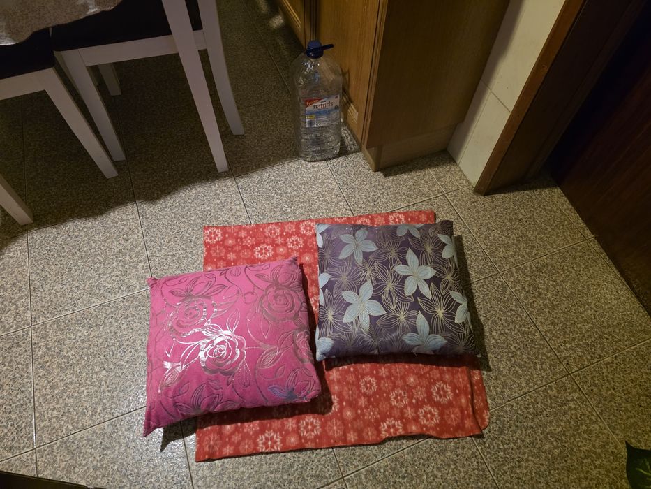 Vendo 2 almofadas usadas