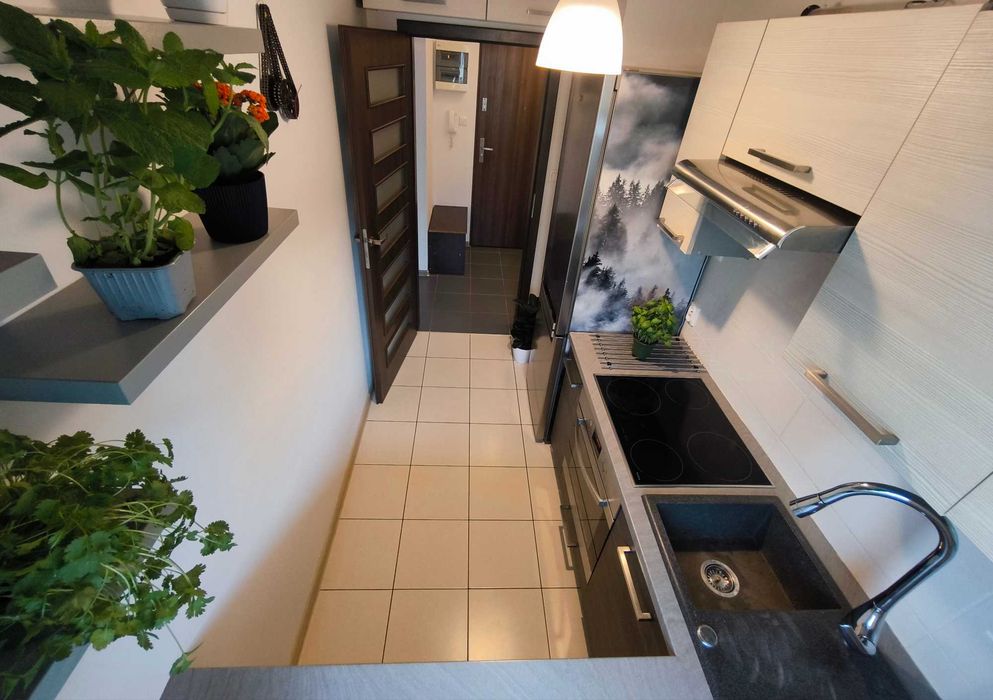Wynajem mieszkanie 2 pokoje, winda w bloku, osobna kuchnia, 6m balkon, bez pośredników, niski czynsz. - Widok 3