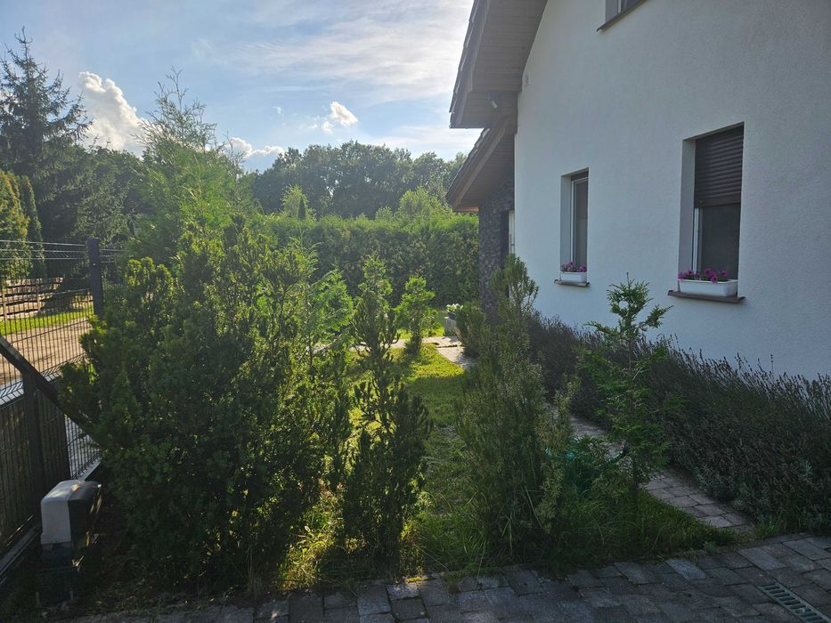 Dom – Grzybowo, powiat wągrowiecki - Widok 3