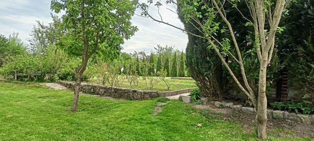 Działka ogrodowa - Widok 2
