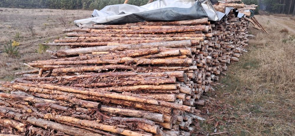 Sprzedam suche drewno opałowe