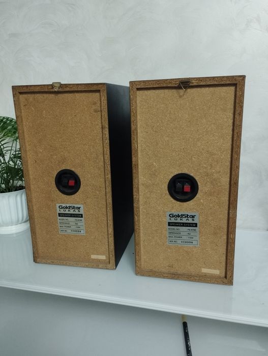 Колонки GoldStar LUKAS FE-676E