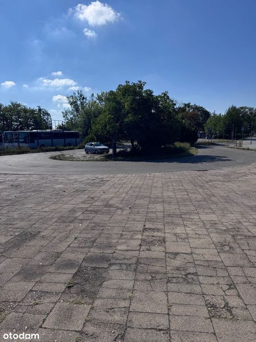 Częstochowa Al. Wolności - Orzechowskiego dz. 24/2 - Widok 4