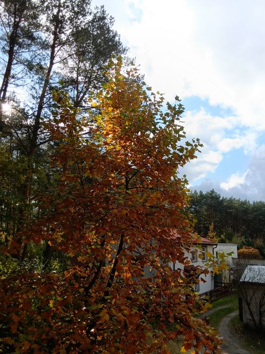 T Tablet 2 na sprzedaż, matowy ekran, dobra cena
