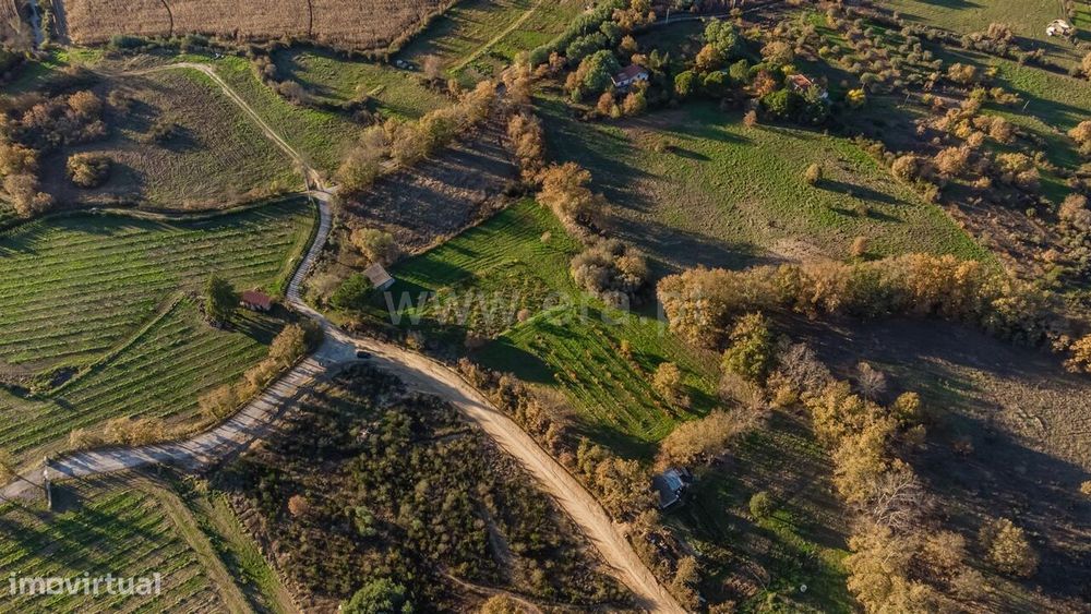 Terreno Rústico / Belmonte, Caria