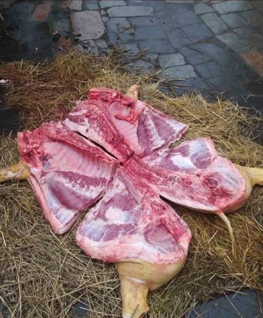 Продам домашню свинину, тушку