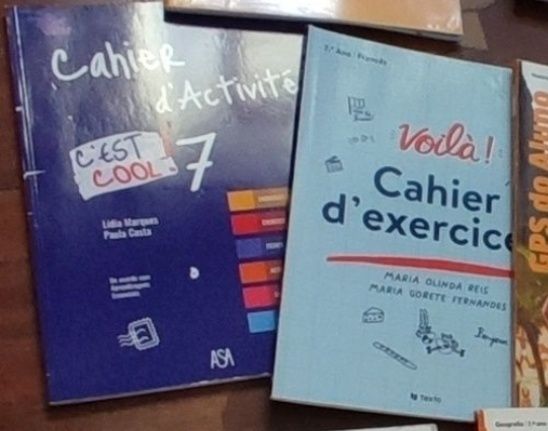 Manuais escolares para 7 ano