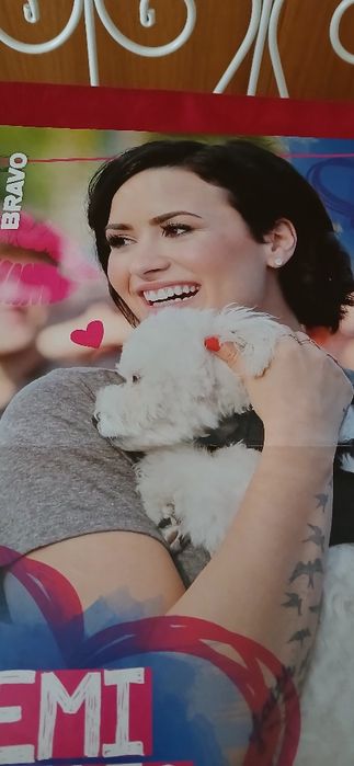 Poster D.A.M.A./Demi Lovato