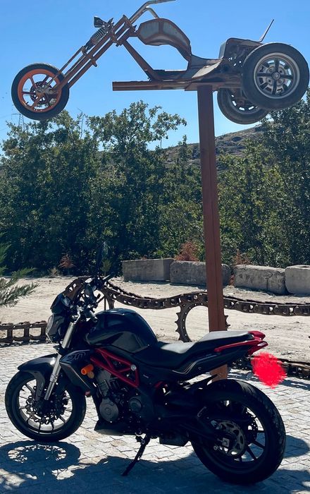 Benelli 302 2019