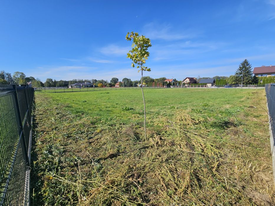 Ogrodzona działka 3600 m² na wynajem - Widok 4