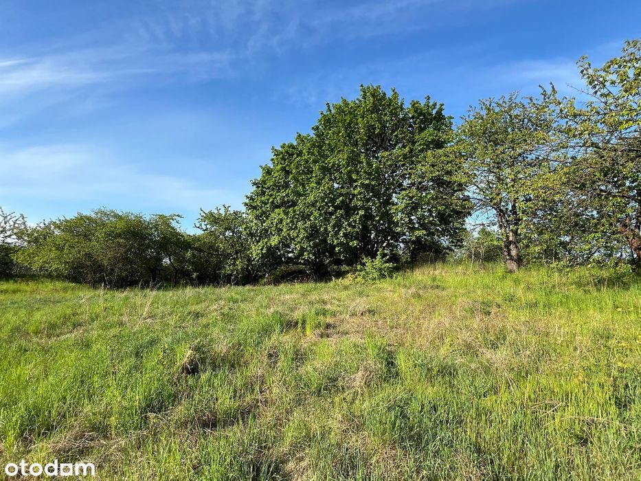 1775 m² w Pobiedziskach | Jezioro, szkoła, PKP, pełne media w drodze