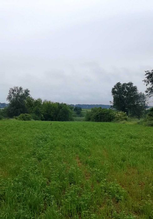 35 соток з будинком біля річки — за ціною 1-кімнат квартири | 47 000 $