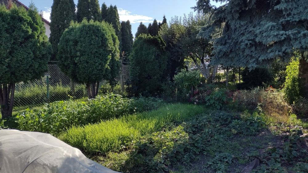 Sprzedam działkę ROD 5ar z duszą i historią