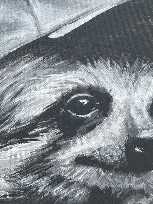 Obraz „Leniwiec w czapce” - 40x40 cm