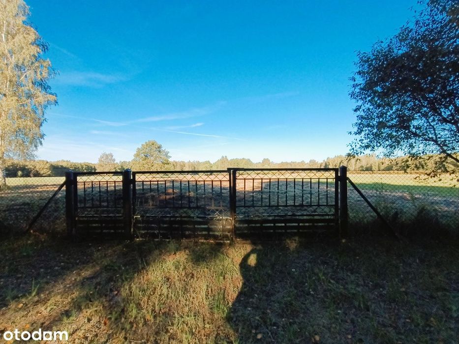 Siedlisko w przepięknym miejscu niedaleko Żyrardowa i Skierniewic. - Widok 4