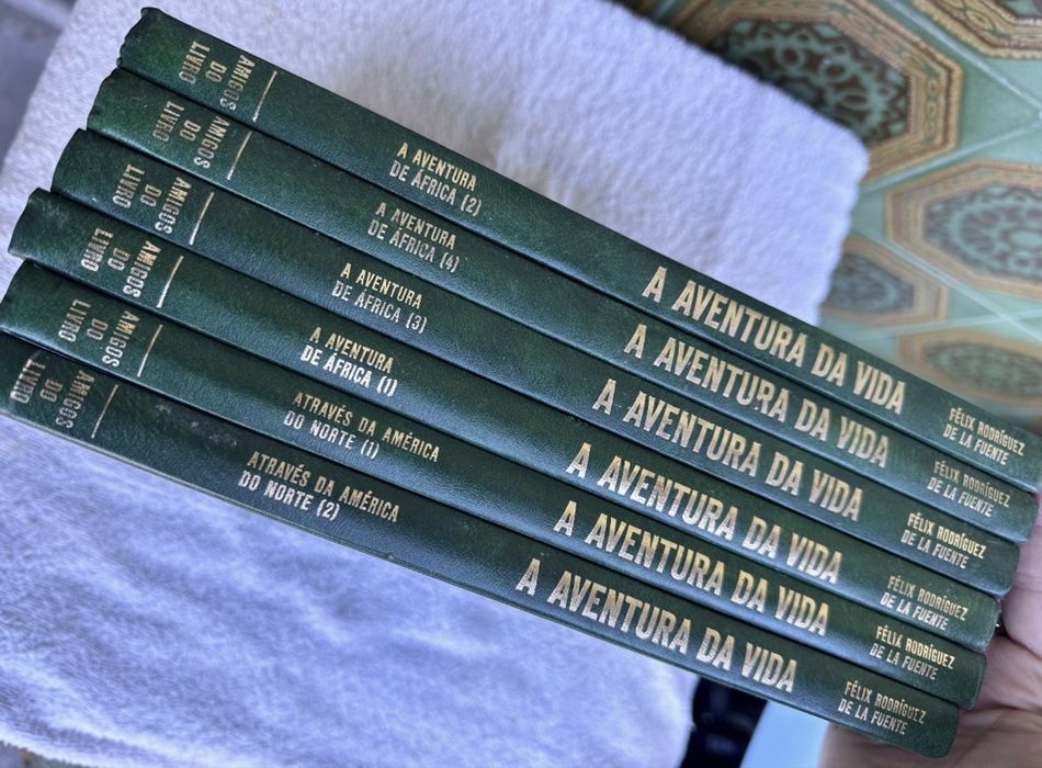 A aventura da vida- Cronicas de viagem