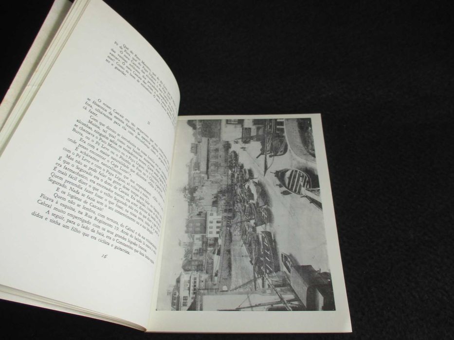 Livro Cascais Menino Pedro Falcão