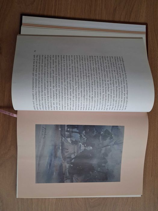 Livro São João do Porto