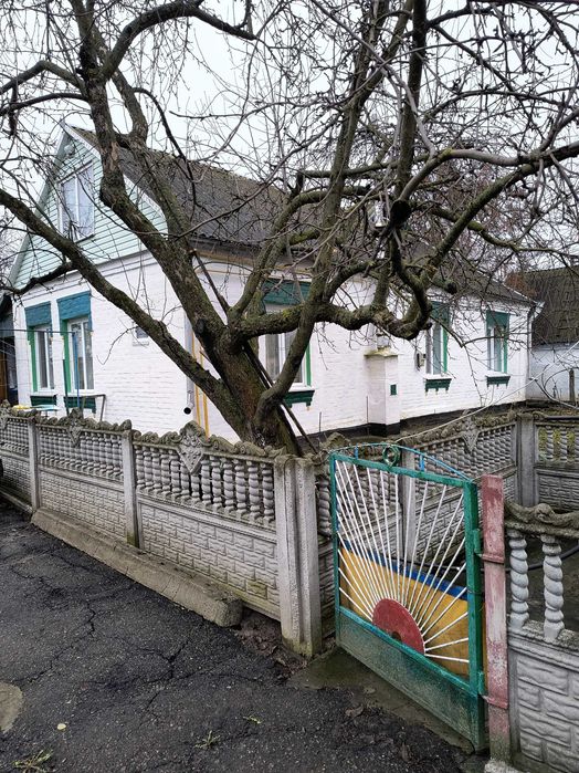 Будинок в Дроздах