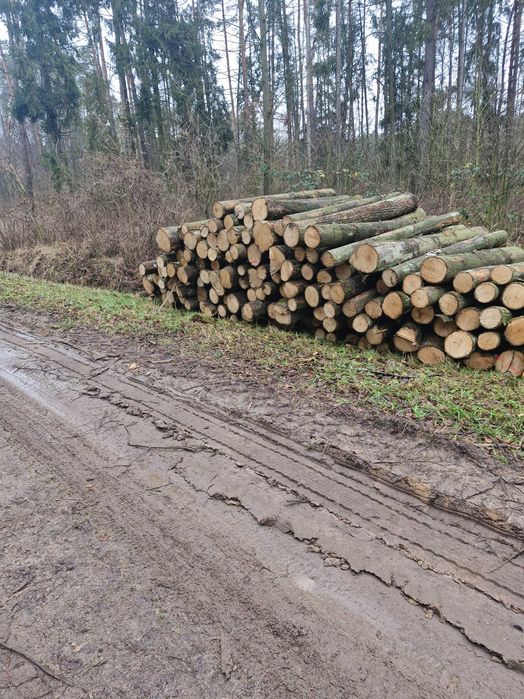 Drewno opałowe Kominkowe metry wałki do pieca