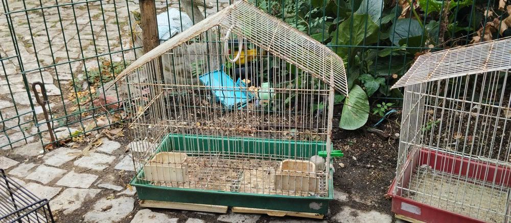 Varias gaiolas de aves