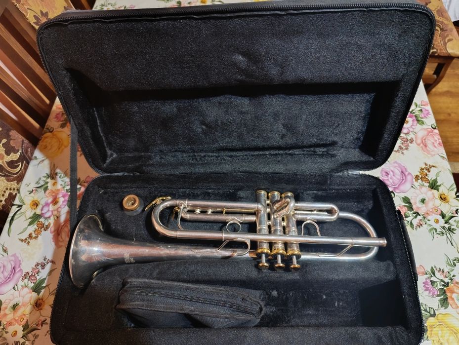 Труба Roy Benson