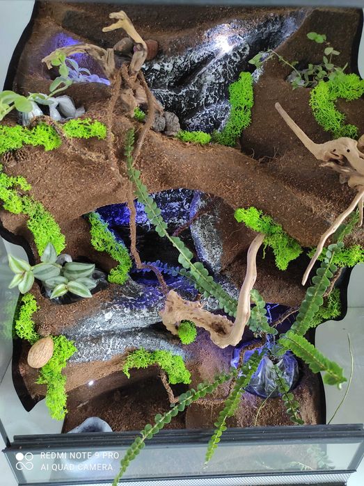 Terrarium dla gekona orzęsionego, TW44FO, AquaWaves