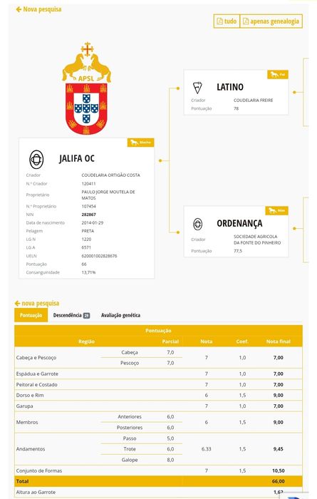 Segue para venda poldra lusitana com 1 ano de idade