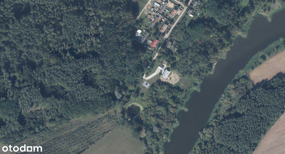 Sprzedam działkę Sieraków, obręb Nadleśnictwo Sieraków