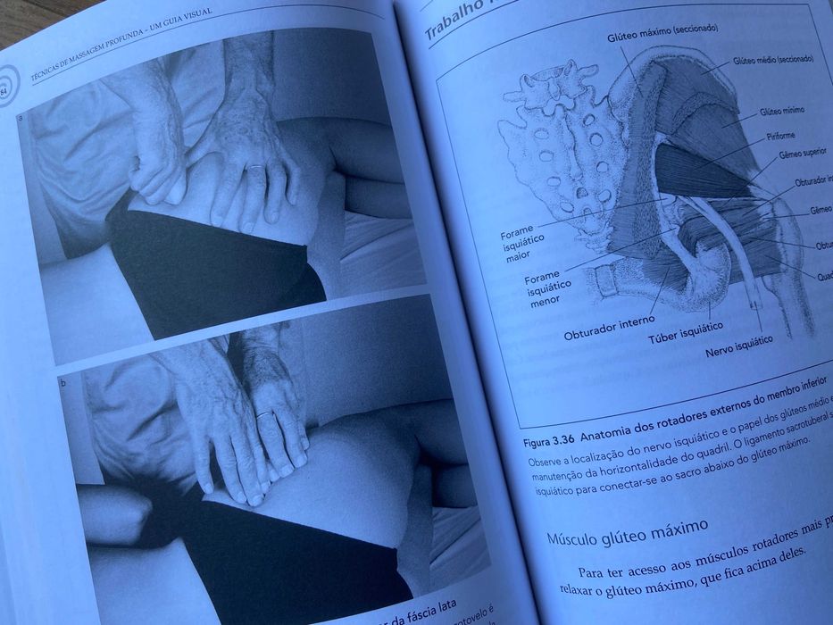 "Técnicas de MASSAGEM PROFUNDA" de Art Riggs