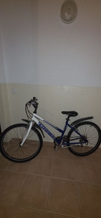 Bicicletas de passeio