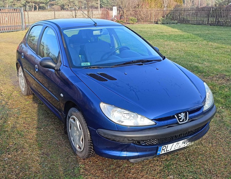 Peugeot 206, 2003, 1.1 Benzyna, Hak
