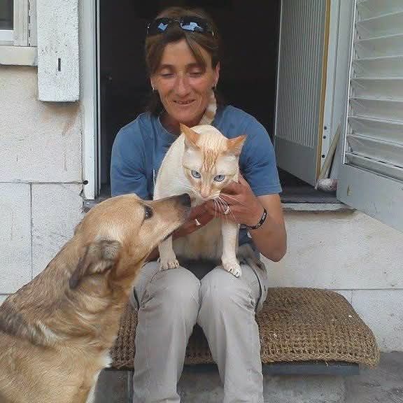 Passeio de Cães / Dog Walker – Oeiras e arredores Preço: