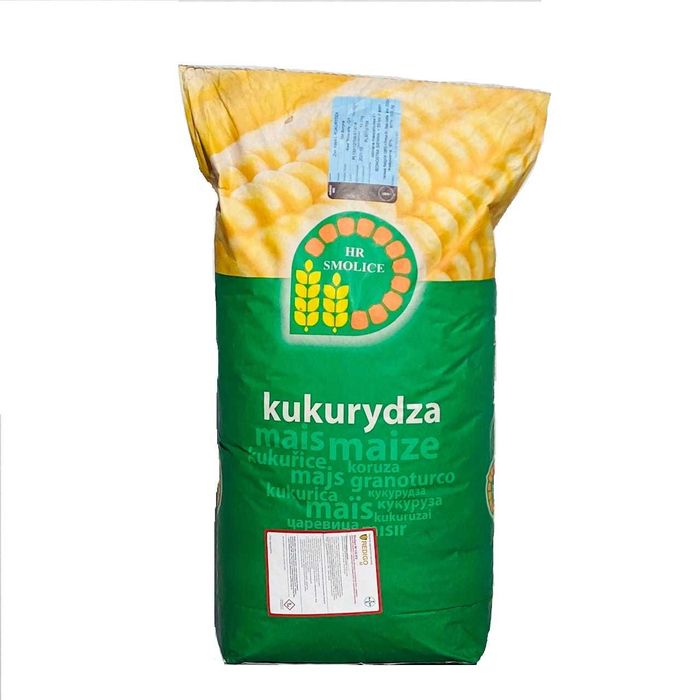 kukurydza nasiona