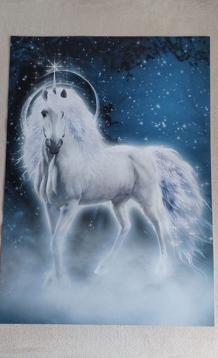 Plakaty dla dziewczynki 70x50 cm Jednorożce 2 sztuki