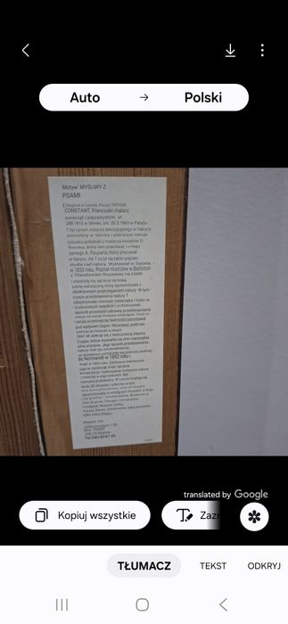 Obraz,,Myśliwy z psami "