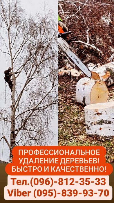 Спилювання,видалення дерев в будь якому місці,будь якої складності!