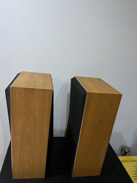 Bang Olufsen beovox S45