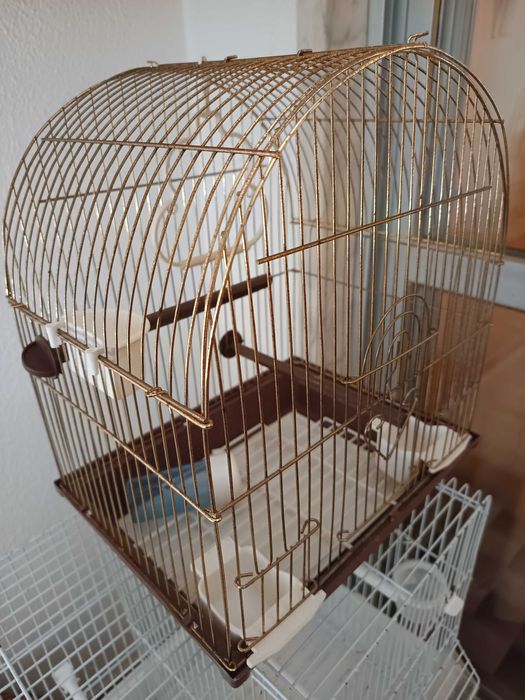 Gaiolas para canários