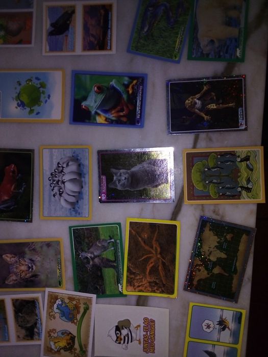 Conjunto de 45 Cromos Colecção Animais