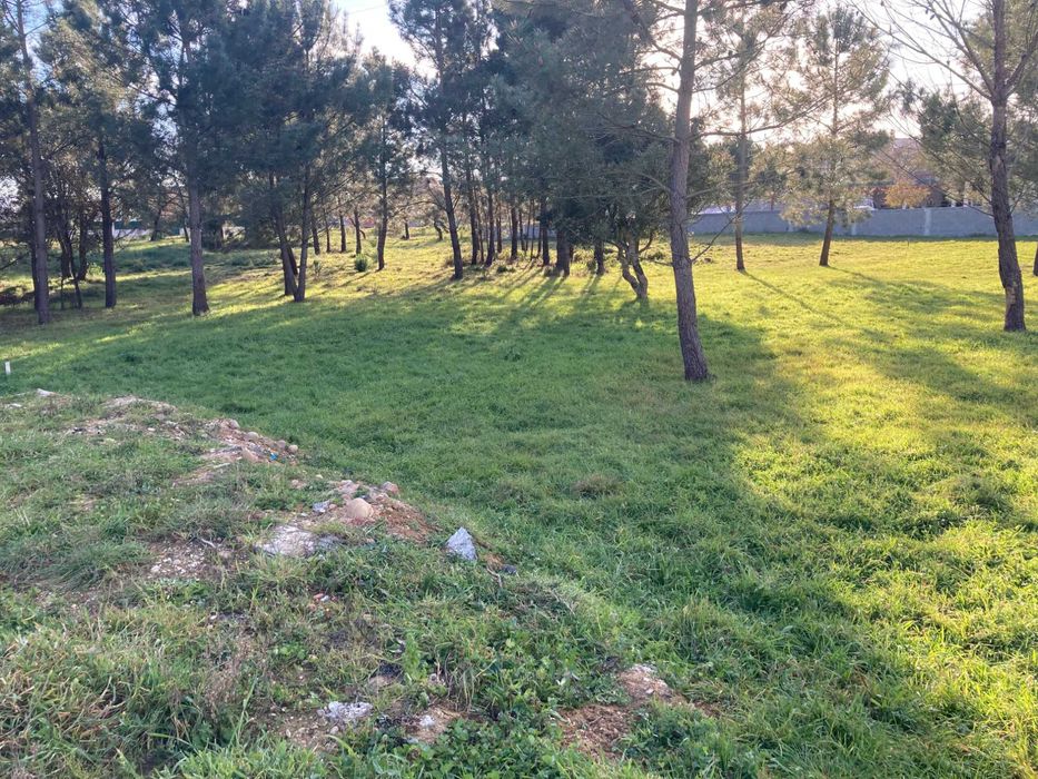 Baixa! Terreno urbano com 6360 m2, em São Jorge, ao pé do McDonald's