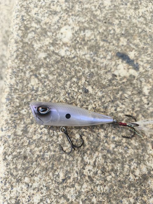 Vendo amostras superfície achigã