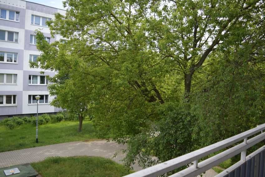Mieszkanie – Poznań - Więcej