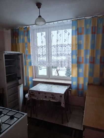 Zdjęcie 8