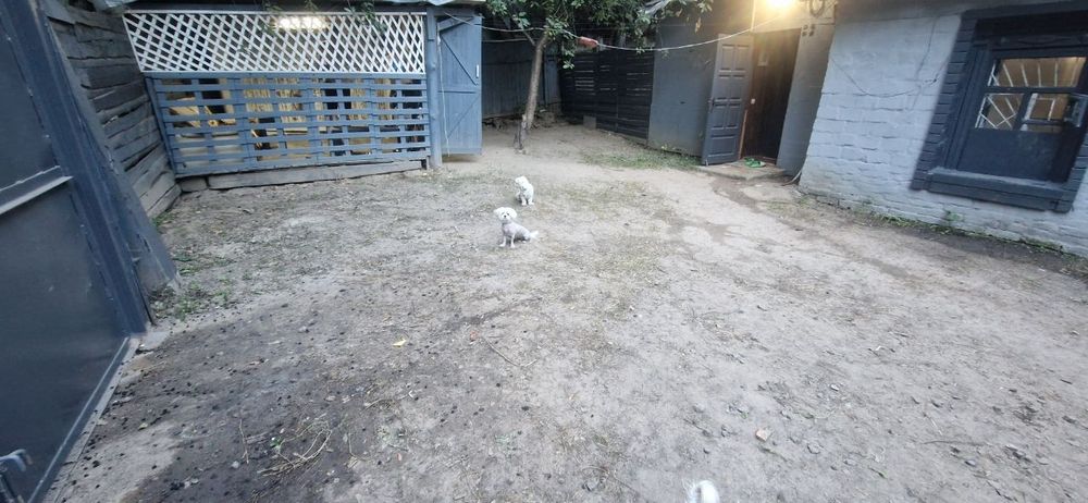 Сдам будинок Центр