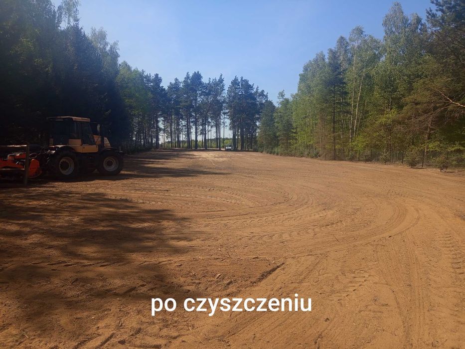 Wycinka drzew  czyszczenie działek wywóz gałęzi usuwanie karp