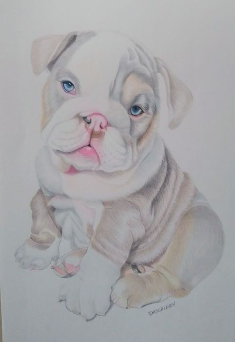 Retratos/Desenho a lápis grafite